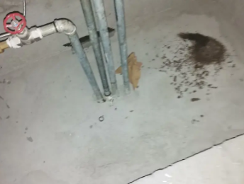古丈卫生间测漏水价格明细